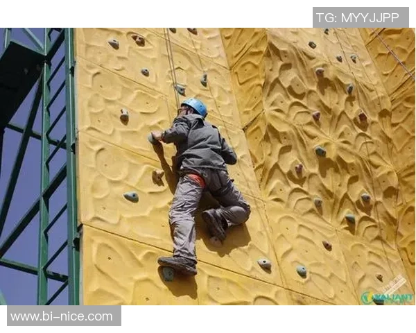 攀岩新手攻略：团队协作入门指南